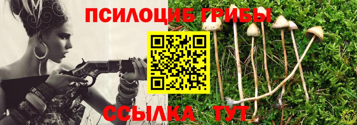 Псилоцибиновые грибы Cubensis Ачинск